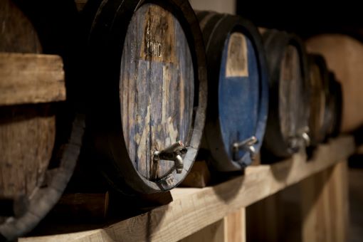 Bodegas