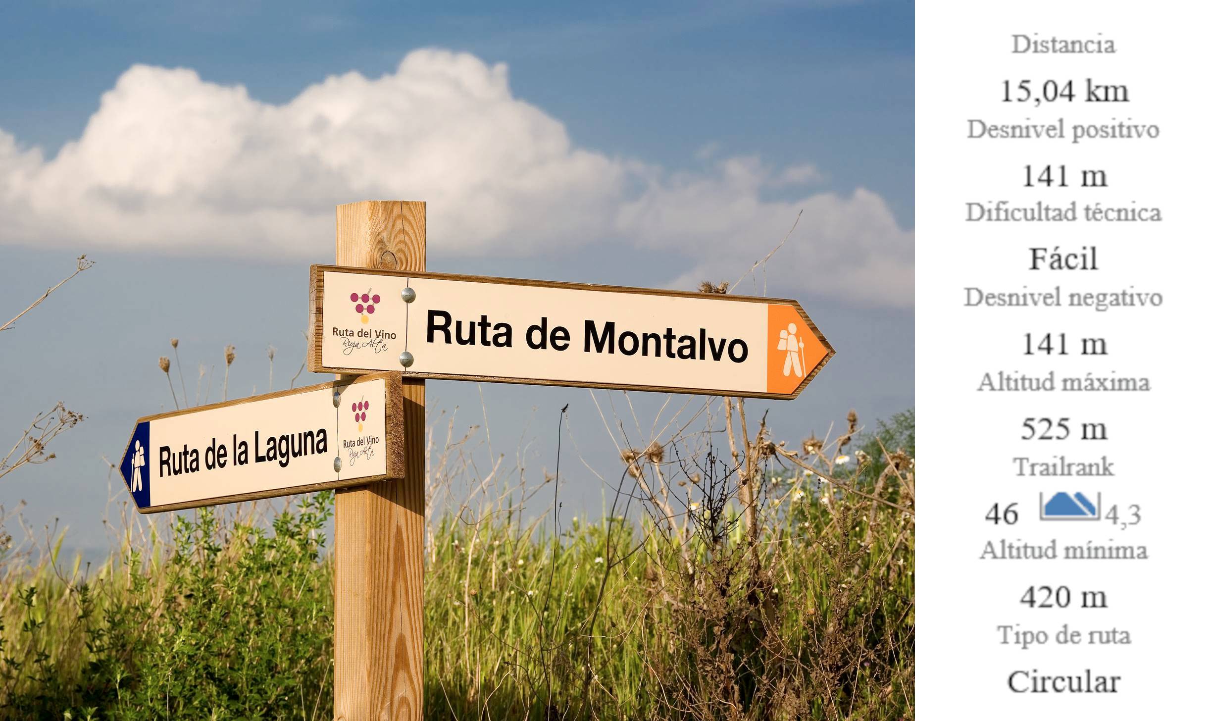 SENDERO DEL VINO: MONTALVO