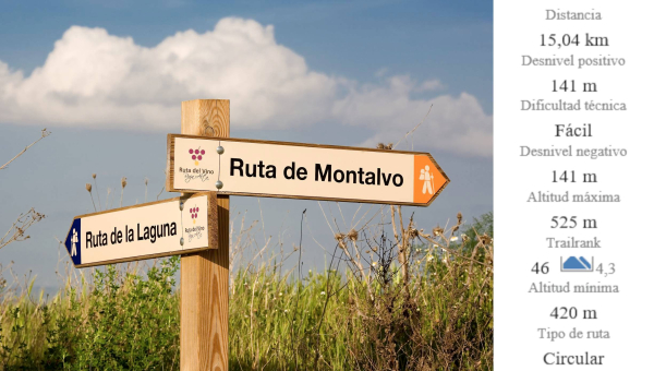SENDERO DEL VINO: MONTALVO