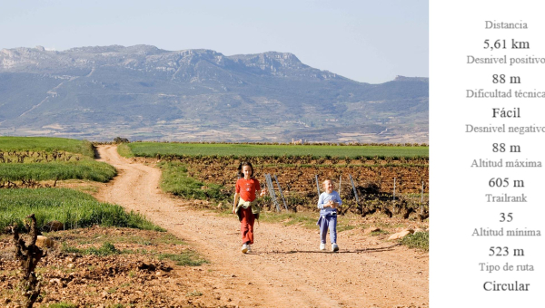 SENDERO DEL VINO: EL PRADO